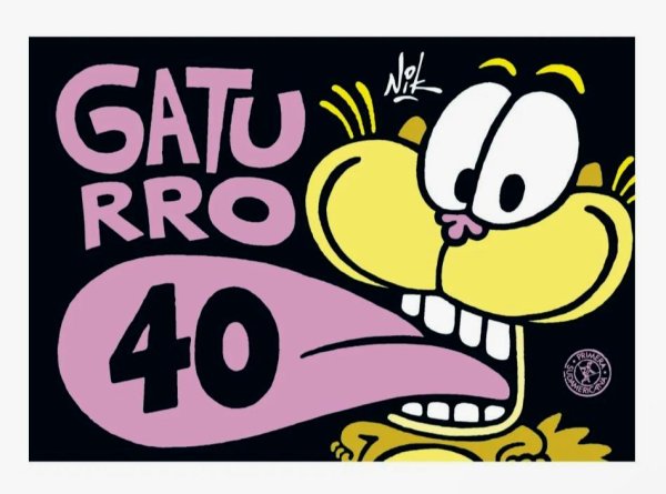 Gaturro 40